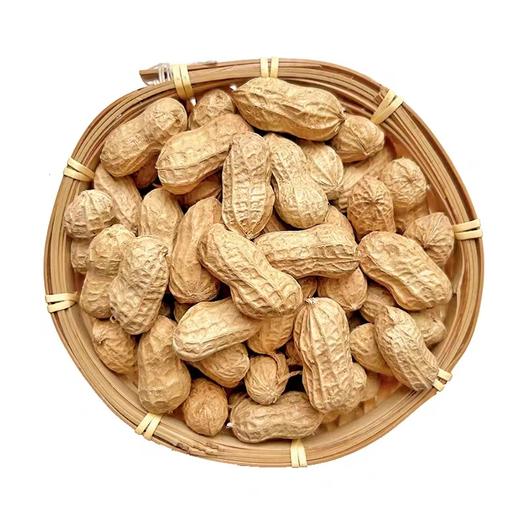 带壳原味炒花生 商品图6