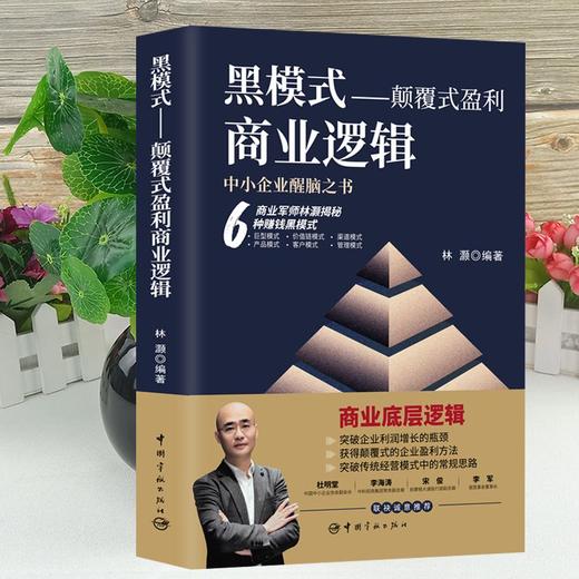 黑模式:颠覆式盈利商业逻辑 商品图2