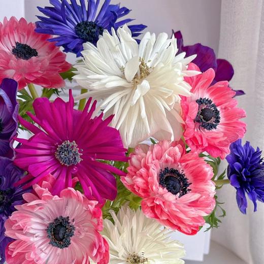 当季精品银莲花10支 商品图3