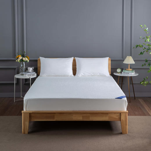 远梦轻奢贡缎纯棉保护垫 商品图0