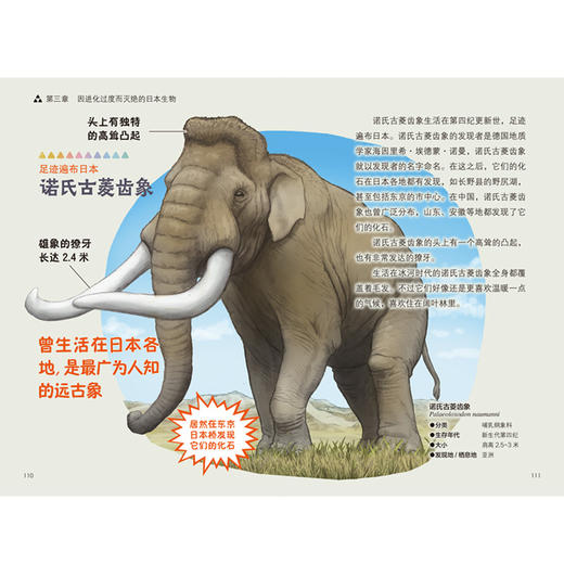 “今泉忠明动物小百科”系列（全3册） 商品图8