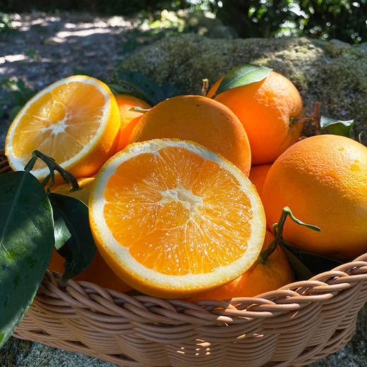 福利活动『江西赣南脐橙』寻乌核心产区，浓甜多汁，芳香脆嫩，现摘现发 商品图9
