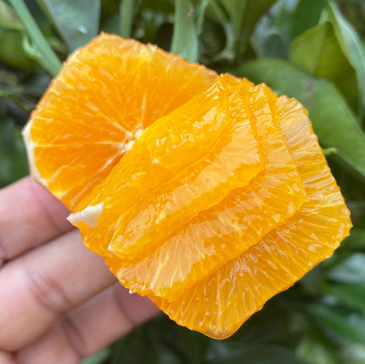 福利活动『江西赣南脐橙』寻乌核心产区，浓甜多汁，芳香脆嫩，现摘现发 商品图1