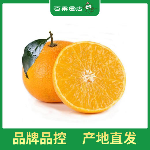 PAGODA百果园 爱媛果冻橙3斤尝鲜装（单果径60-70mm） 商品图5