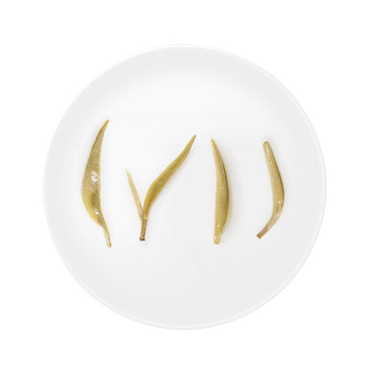 小罐茶 10罐装茉莉花茶（畅享）4g*10罐 商品图1