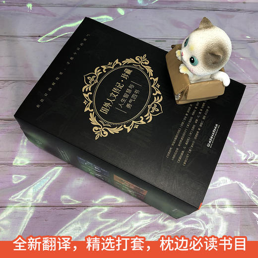 国外人文传记·珍藏版（4册）甘地自、凡·高自、特斯拉、拿破仑 商品图2