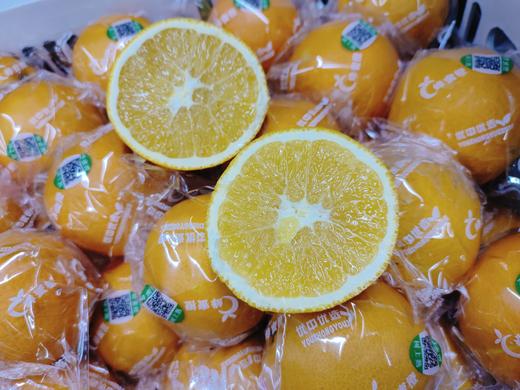 活动手掰橙5斤 商品图0