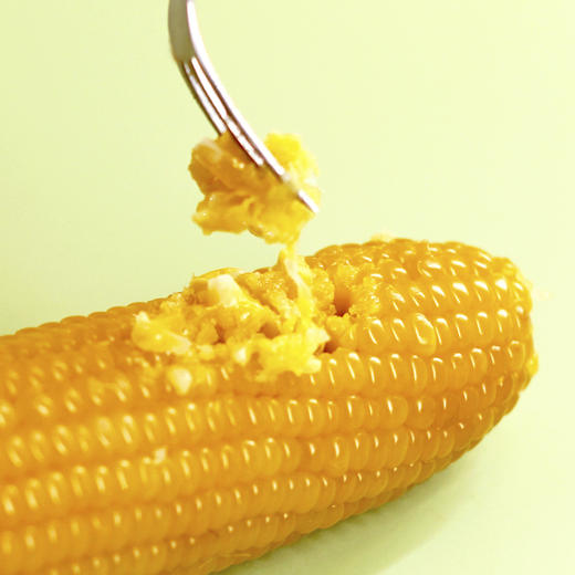 甄食在 一糯千金 黄糯玉米 礼盒装 220g*8穗 商品图4