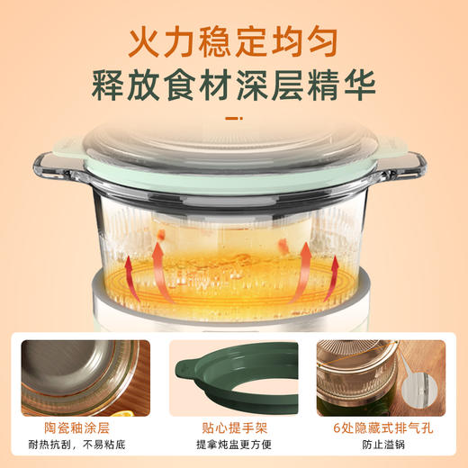 东菱（Donlim） 电炖锅 煲汤燕窝隔水炖盅 养生隔水小炖锅 BB煲汤小锅 玻璃电炖锅 食补养颜DL-9002(森野绿) 商品图6