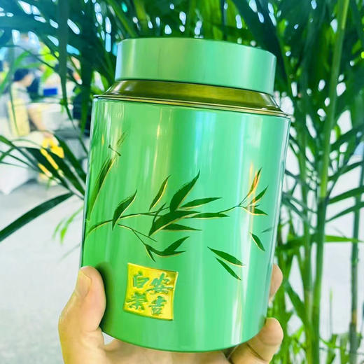 【质农】 浙江明前特级安吉白茶50克罐装 鲜爽甘甜 香气扑鼻 地理标志产品 商品图0