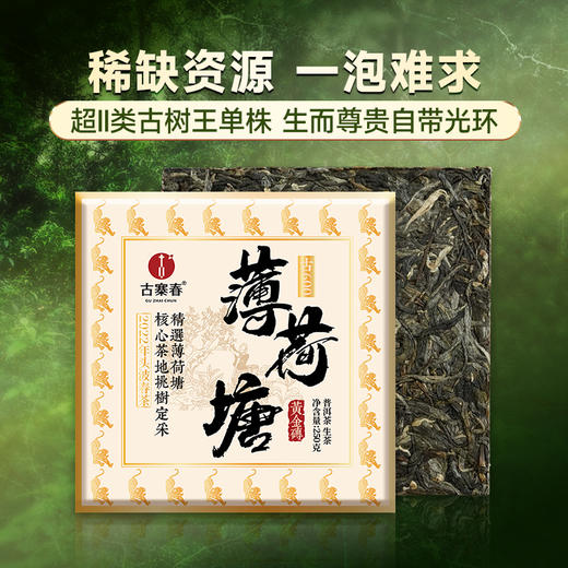 【薄荷塘黄金砖】2022年薄荷塘单株稀缺古树资源普洱茶生茶易武茶区深山中的金叶子250克/砖 商品图0