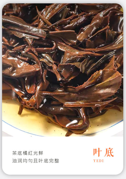 凤宁号 | 2024年 高香滇红50G/罐 商品图4