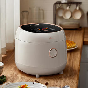 小熊电饭锅 家用4升智能防溢预约元釜柴火饭  DFB-C40K6 [白色]