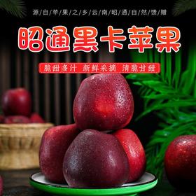 【顺丰快递】云南昭通黑卡苹果 稀有品种 纯甜 礼盒装DBXS