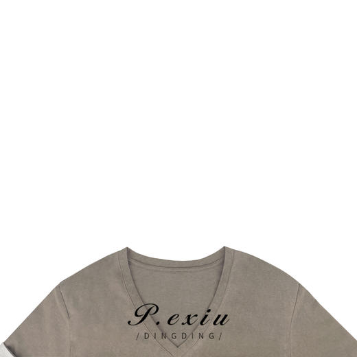 01-1 潘依绣丁丁宠粉夏季V领纯色休闲舒适百搭显瘦短袖T恤 W-61321 商品图2