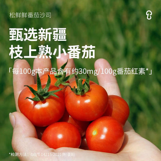 松鲜鲜番茄沙司245g 商品图1