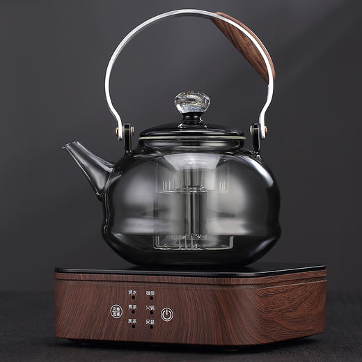 永利汇烟灰高硼硅玻璃煮茶壶电陶炉泡煮茶器家用茶具套装加厚提梁烧水壶 商品图0