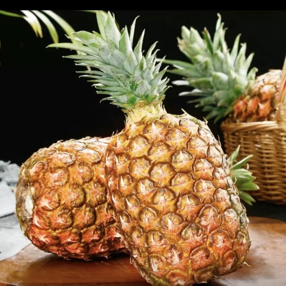 金钻凤梨（海南）