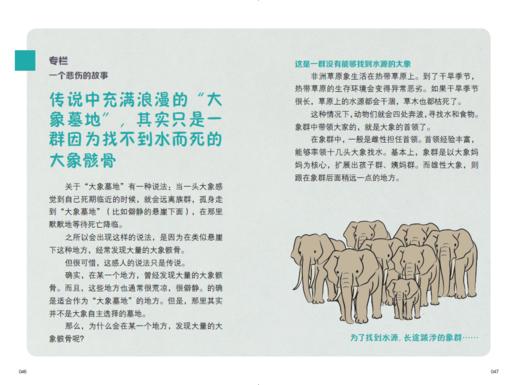 “今泉忠明动物小百科”系列（全3册） 商品图9