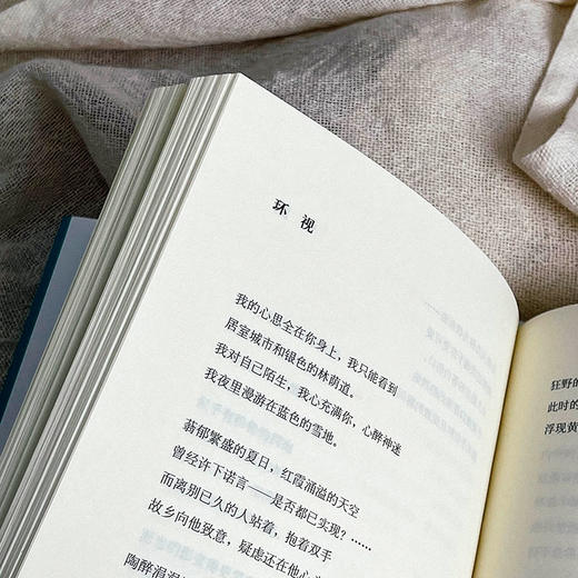 格奥尔格诗选 精装 外国诗歌 文学研究 莫光华翻译 商品图9