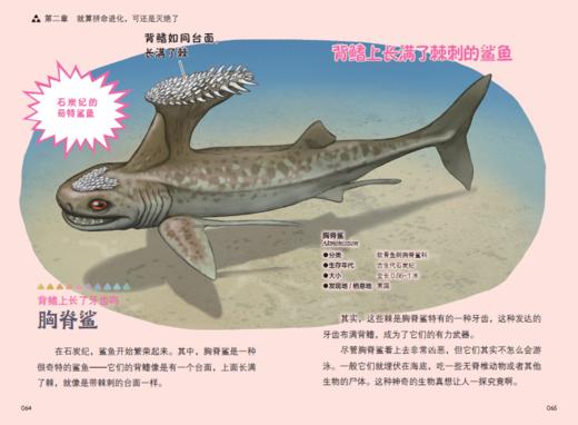 “今泉忠明动物小百科”系列（全3册） 商品图12