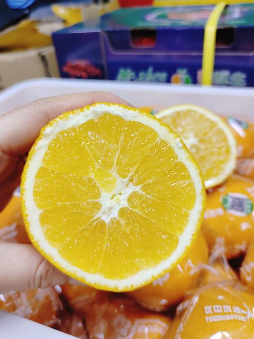 活动手掰橙5斤 商品图1