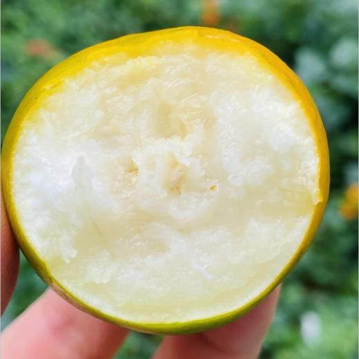 🌹一年一度的王炸款，脆蜜金 桔来啦	 金桔中的天花板脆爽多汁	没有酸涩苦麻的口感！金色锡箔纸包裹着，一颗颗，排列整齐，精致又有质感，送礼超有面🎁 商品图2