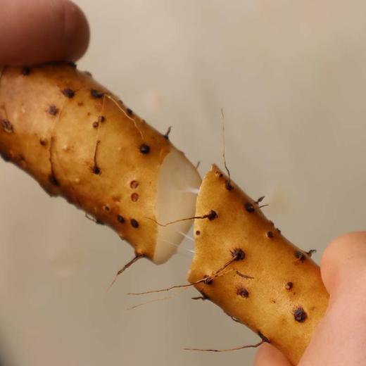 正宗温县垆土铁棍山药 香甜粉糯   补而不燥 5斤 商品图5