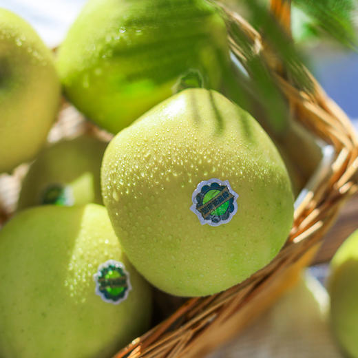 【西农大科研新品种】陕西正宗瑞雪苹果  纯甜玫瑰香味苹果 应季水果 顺丰包邮 商品图0