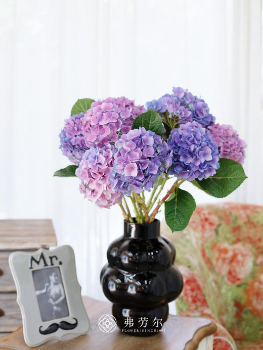 缤纷绣球 商品图0