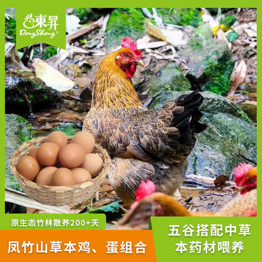 东升农场 凤竹山草本鸡 蛋 组合 散养走地鸡 土鸡蛋 农家蛋 商品图0