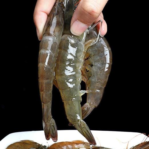 基围虾 约500g/份（离水易死，谨慎购买） 商品图2