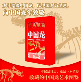 2024中国龙 科学艺术日历 抬头见喜礼盒装 【高清科学艺术复原图，PNSO团队呈现】