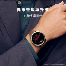 华为 HUAWEI WATCH GT 4 46mm 山茶棕