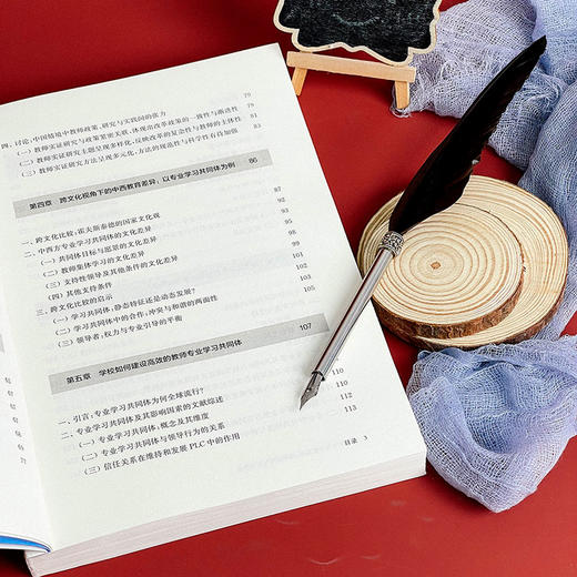 教师学习与专业发展 国际视野与本土体系 郑鑫著 商品图6