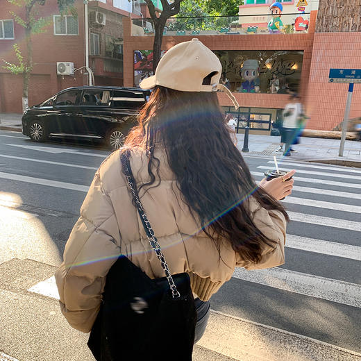 【折后再享2件88折】大翻领短款羽绒服 日常439/件 立减139.01 秒杀299.99/件！！ 商品图2