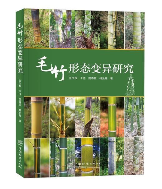 毛竹形态变异研究2080 商品图0