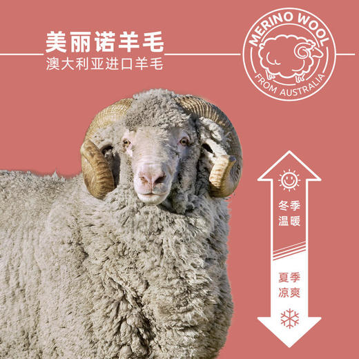 ZEALWOOD 赛乐 美丽诺羊毛训练袜 越野跑图案系列中筒袜 商品图2