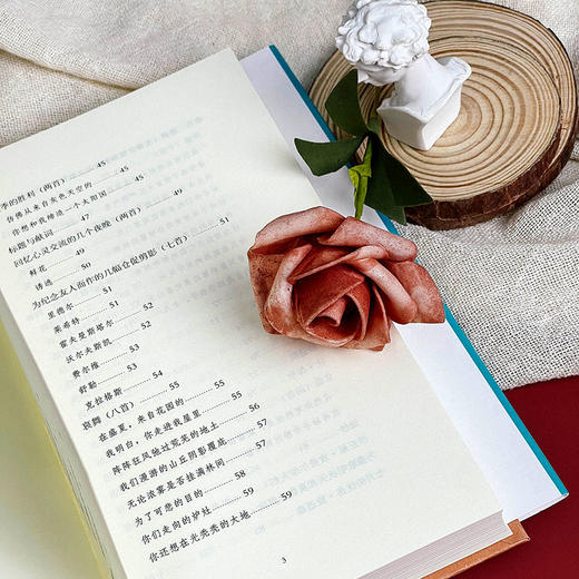 格奥尔格诗选 精装 外国诗歌 文学研究 莫光华翻译 商品图6