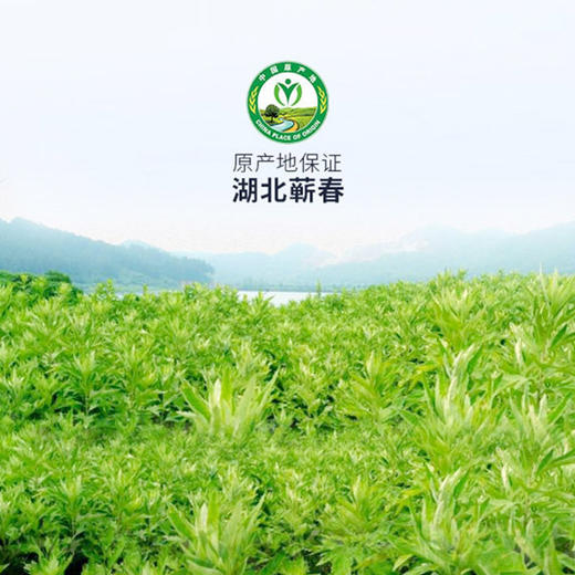 时珍验方蕲艾足浴包 商品图2