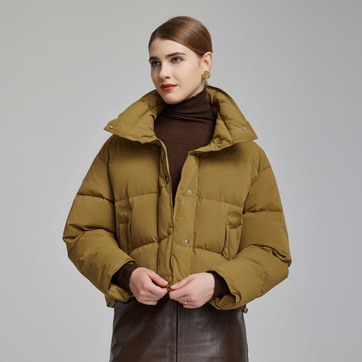 NR013斯尔丽2023冬季新款宽松显瘦短款小个子立领减龄保暖白鸭绒羽绒服 商品图0