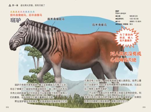 “今泉忠明动物小百科”系列（全3册） 商品图6