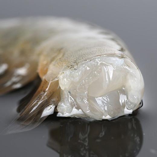 基围虾 约500g/份（离水易死，谨慎购买） 商品图3