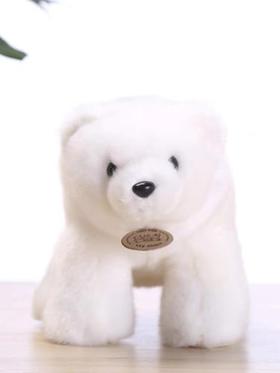 良宜臻品站姿北极23CmLP