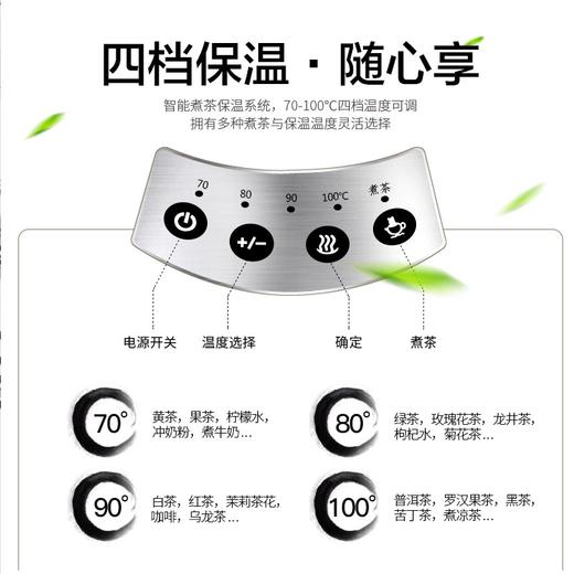 永利汇煮茶器黑茶玻璃全自动电热水壶蒸汽煮普洱茶壶家用保温蒸茶多功能 商品图2