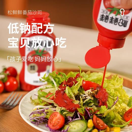 松鲜鲜番茄沙司245g 商品图4