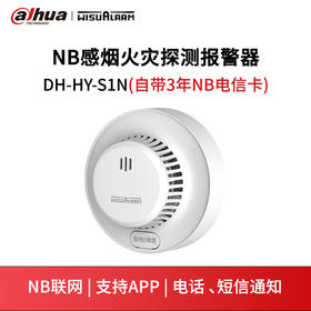 NB感烟火灾探测报警器DH-HY-S1N