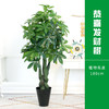 发财树盆栽-1盆仿真绿植仿生仿真盆栽客厅室内花假树摆设造景大型盆景 商品缩略图0