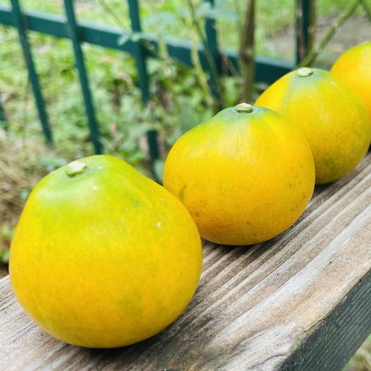 🌹一年一度的王炸款，脆蜜金 桔来啦	 金桔中的天花板脆爽多汁	没有酸涩苦麻的口感！金色锡箔纸包裹着，一颗颗，排列整齐，精致又有质感，送礼超有面🎁 商品图1