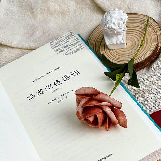 格奥尔格诗选 精装 外国诗歌 文学研究 莫光华翻译 商品图5